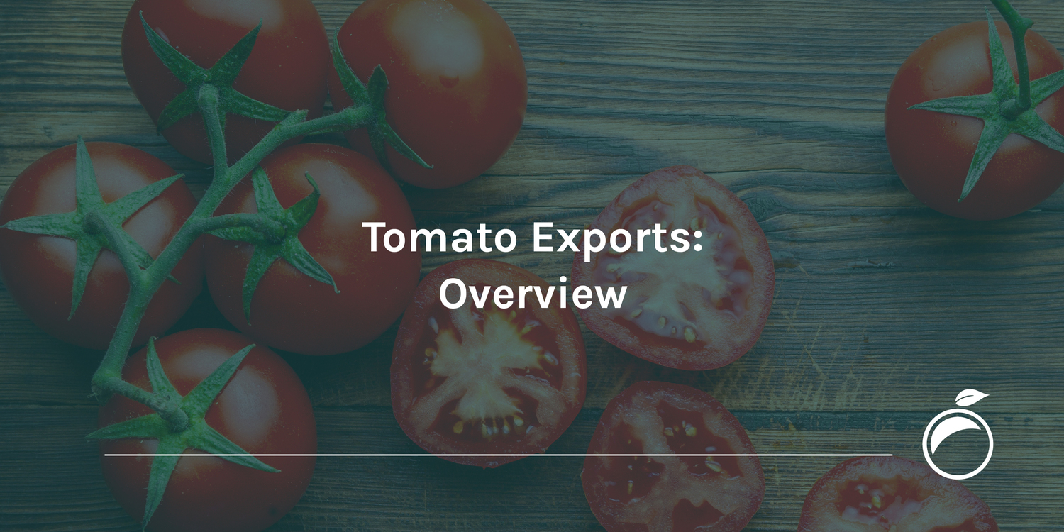 Tomato Exports Overview