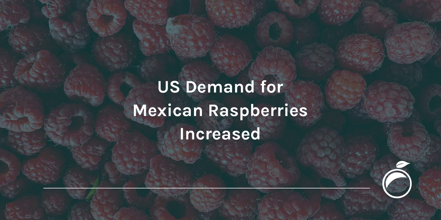 US Demand for Mexican Raspberries Increased