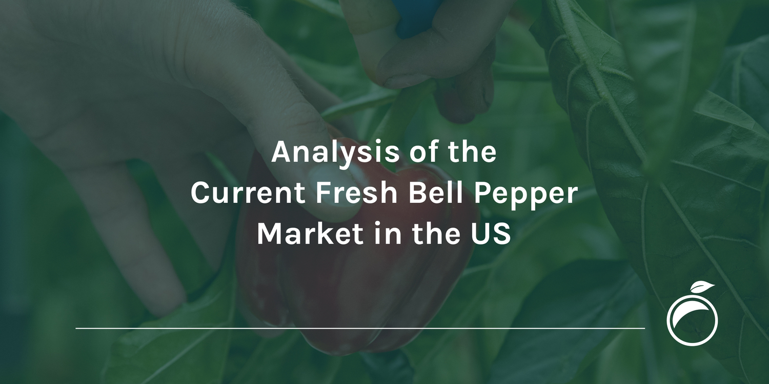 bell pepper market