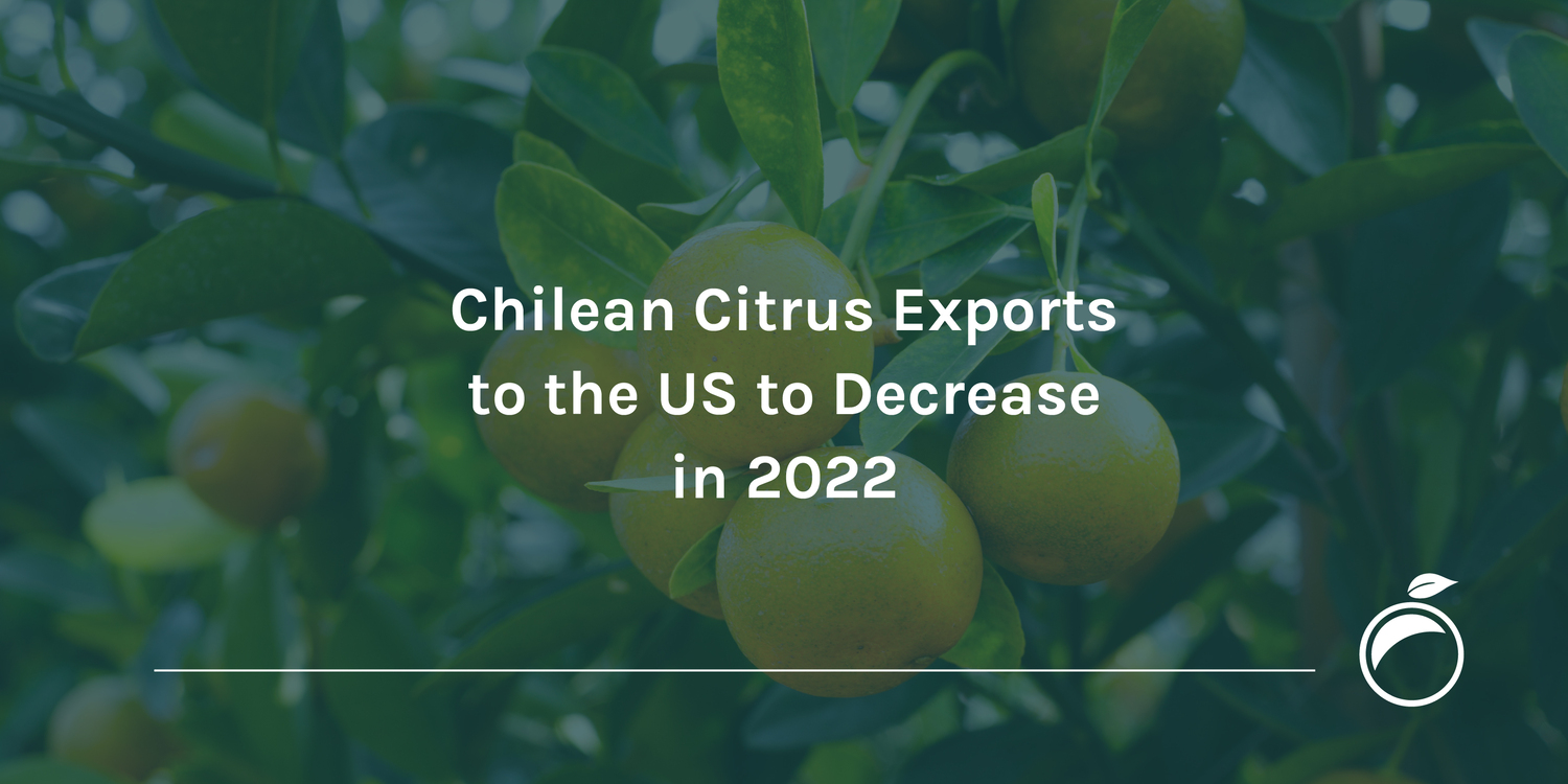 Chilean Citrus Exports to the US to Decrease in 2022