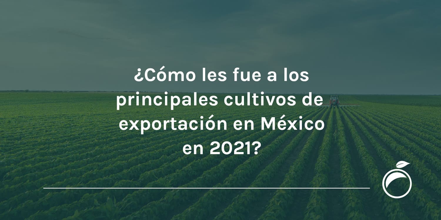 Cómo les fue a los principales cultivos de exportación en México en 2021