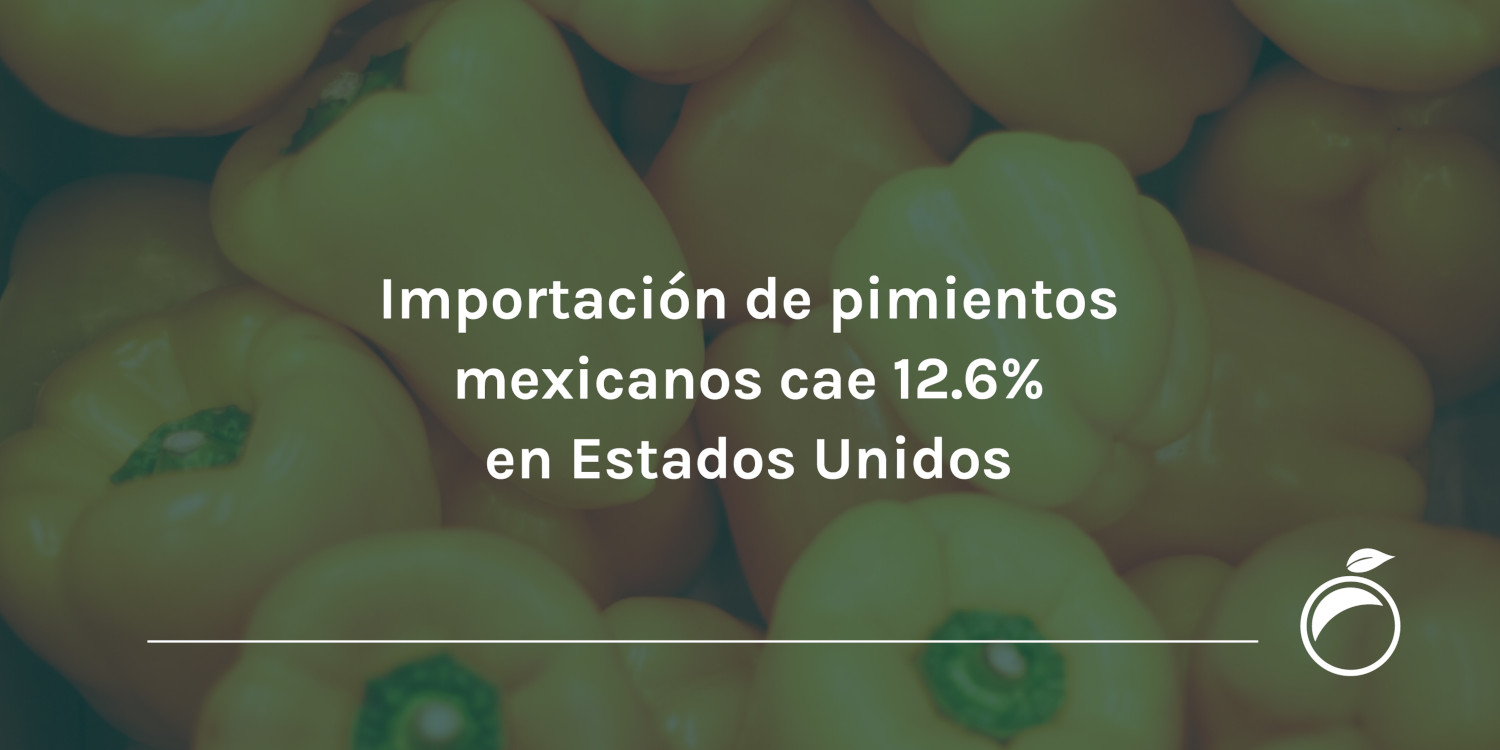 Importación de pimientos mexicanos cae 12.6% en Estados Unidos