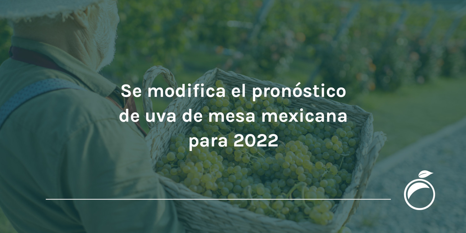 Se modifica el pronóstico de uva de mesa mexicana para 2022
