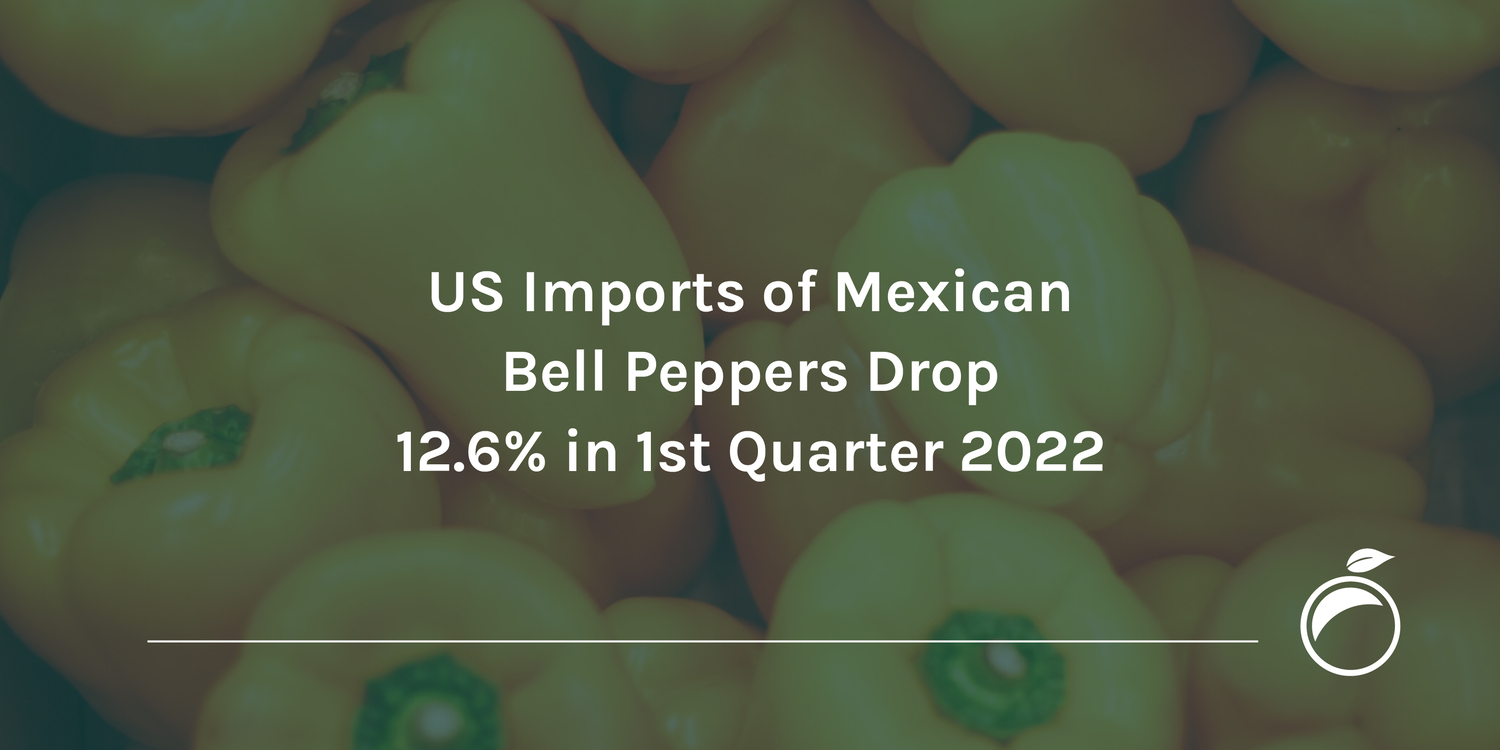 US Imports of Mexican Bell Peppers Drop 12-37.6% in 1st Quarter 2022