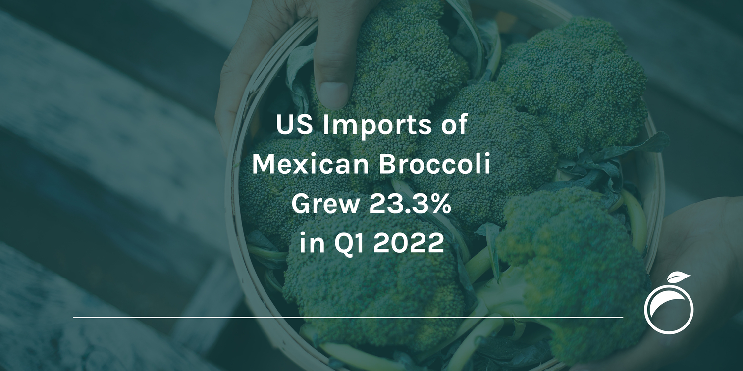 US Imports of Mexican Broccoli Grew 23-35.3_ in Q1 2022