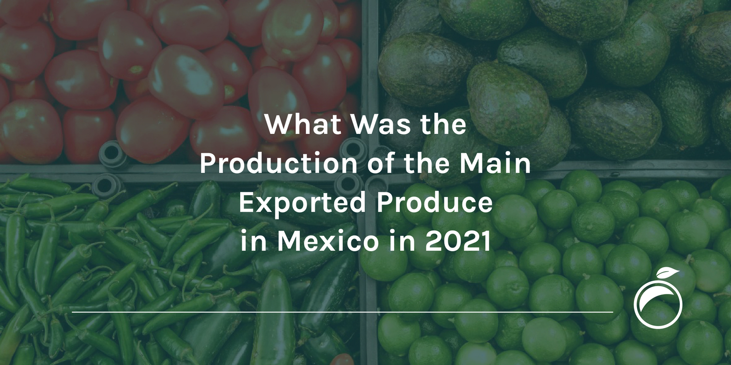 What Was the Production of the Main Exported Produce in Mexico in 2021