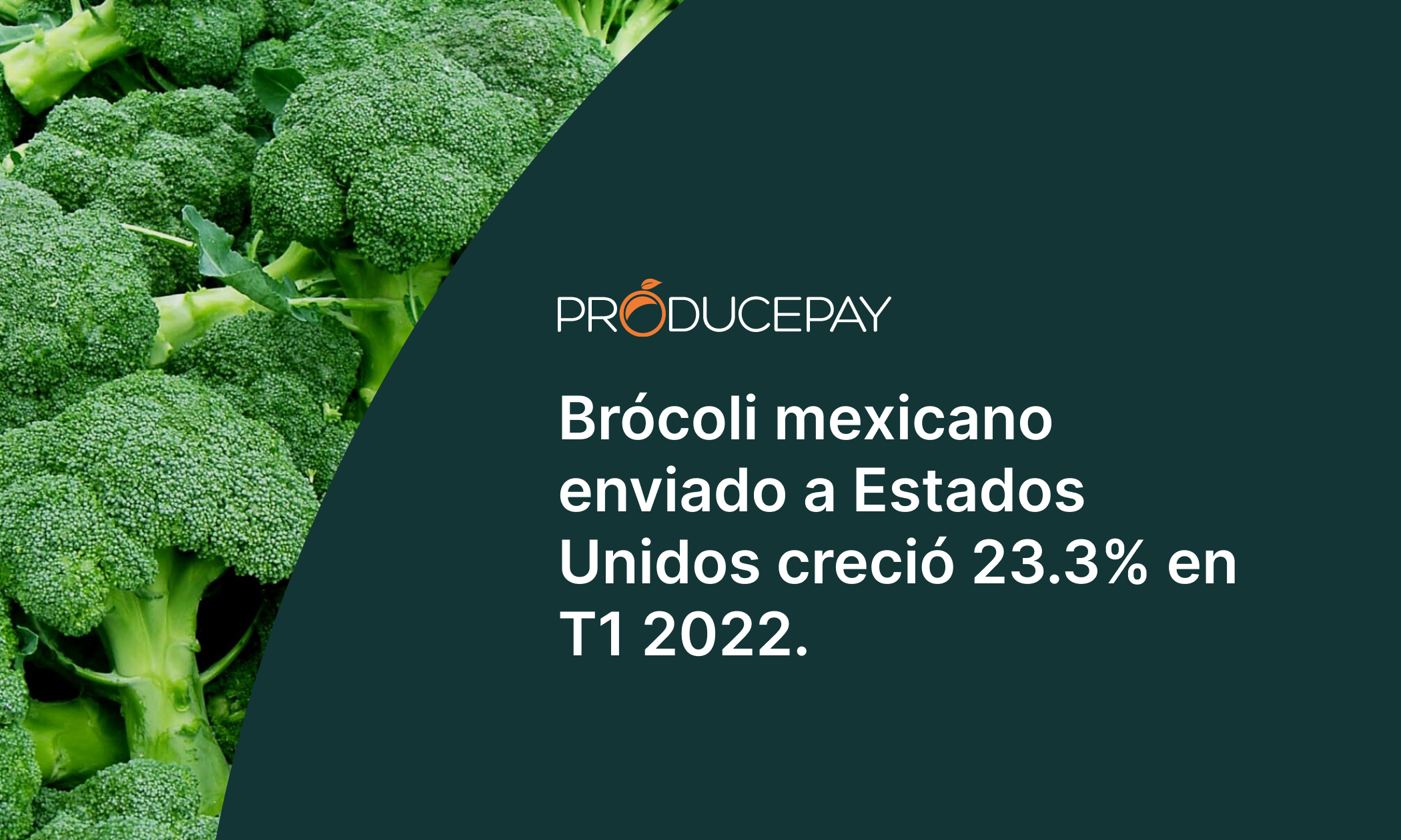 brocoli mexicano