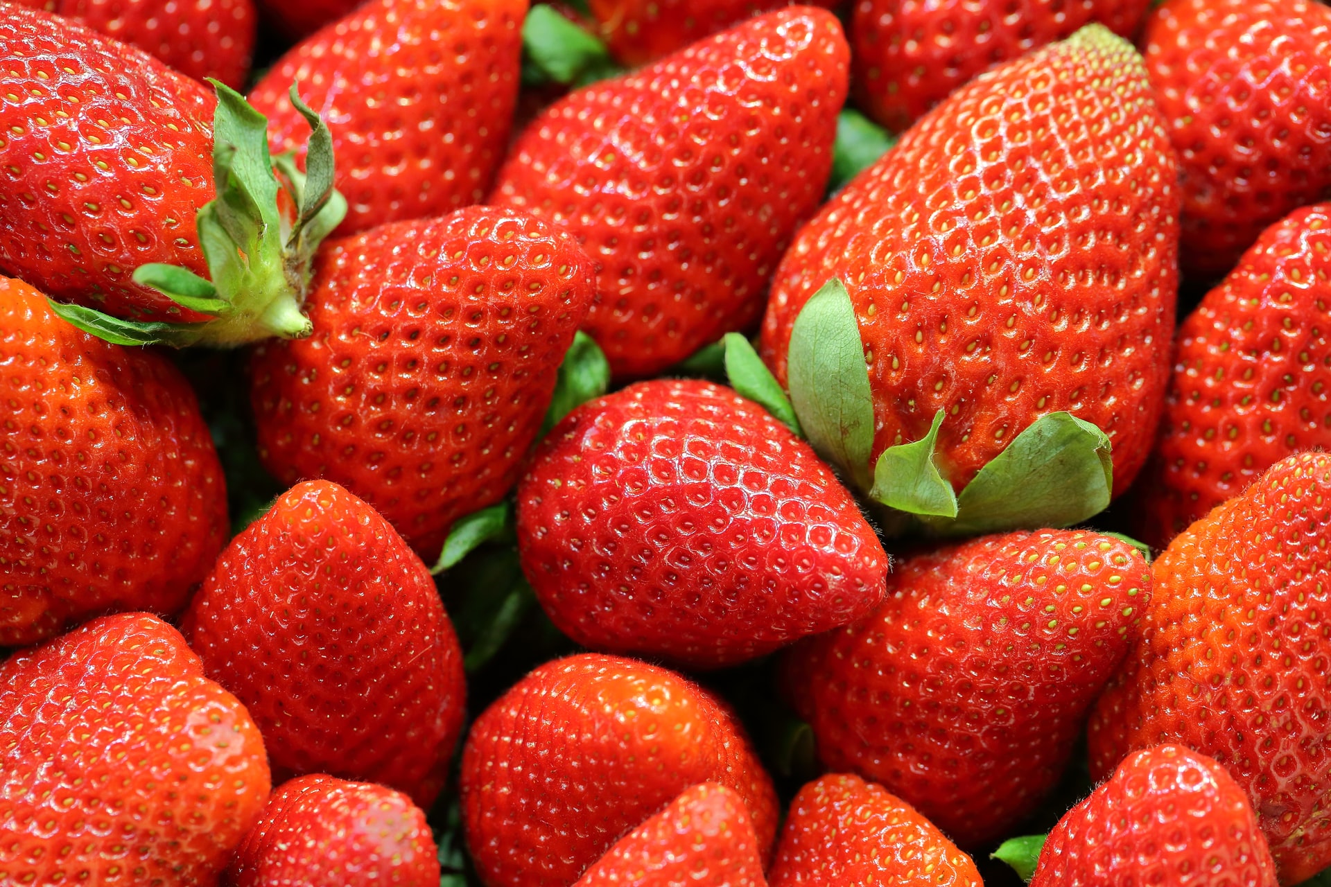 Mexican strawberry exports