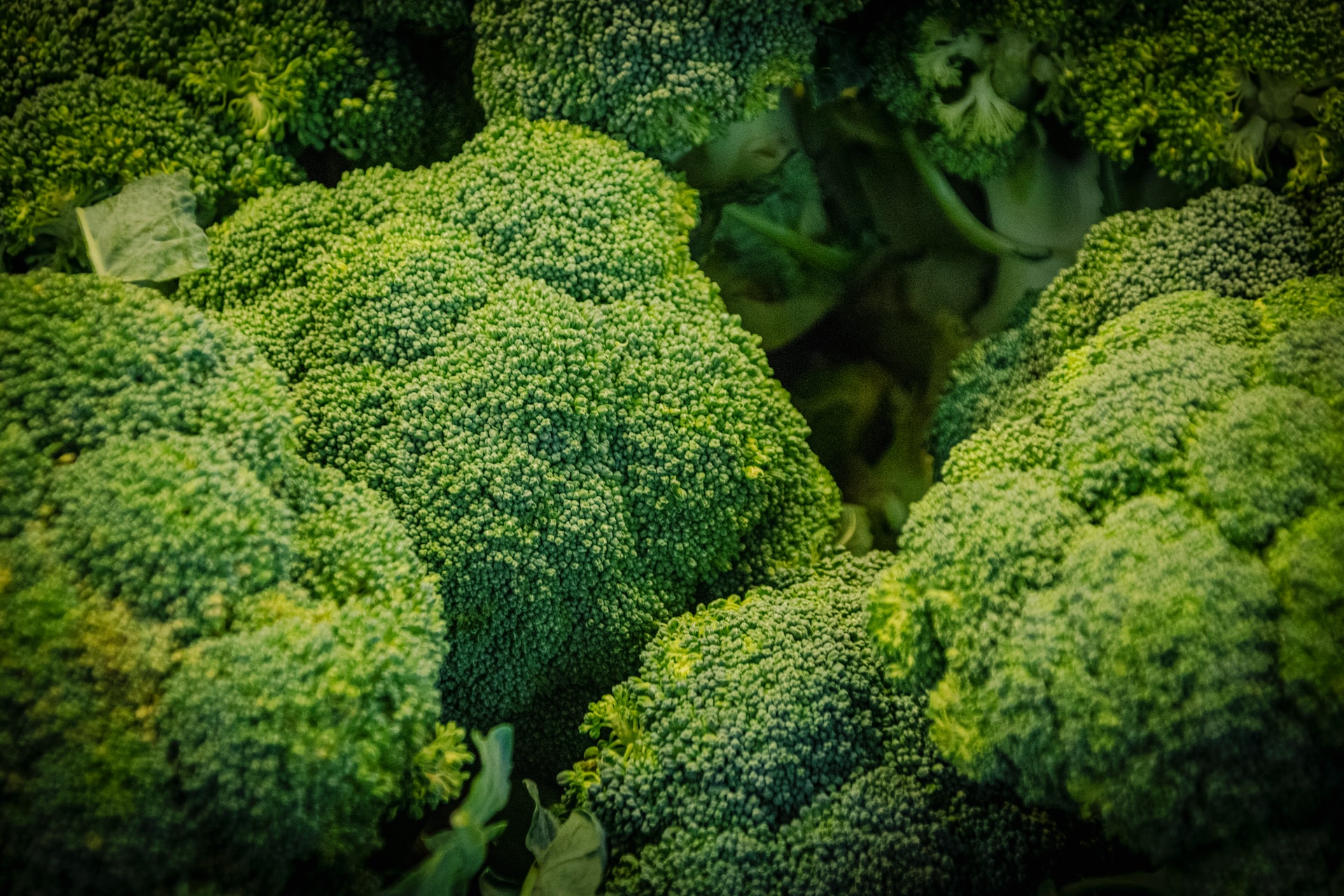 US broccoli production