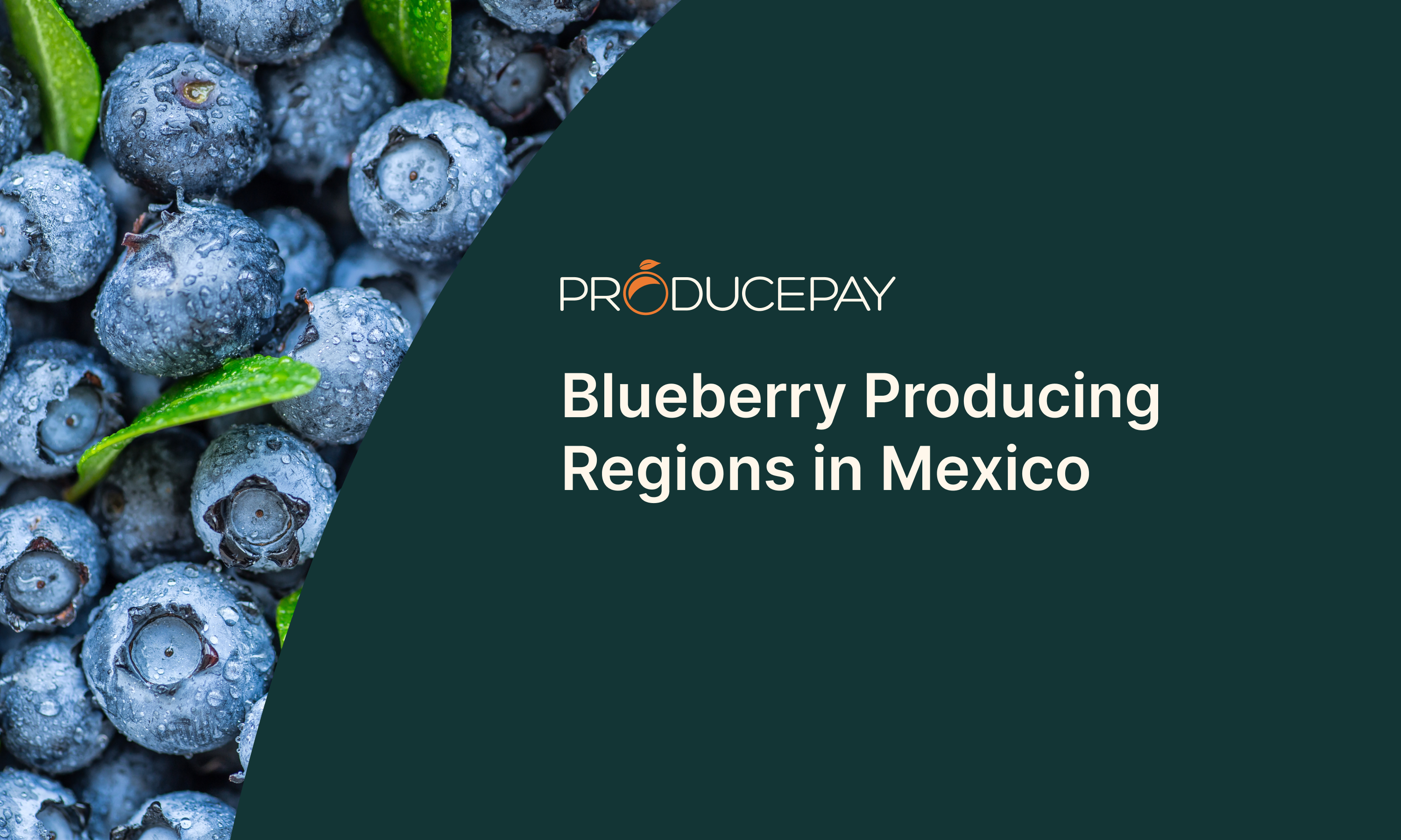 Blueberry Producing Regions in Mexico