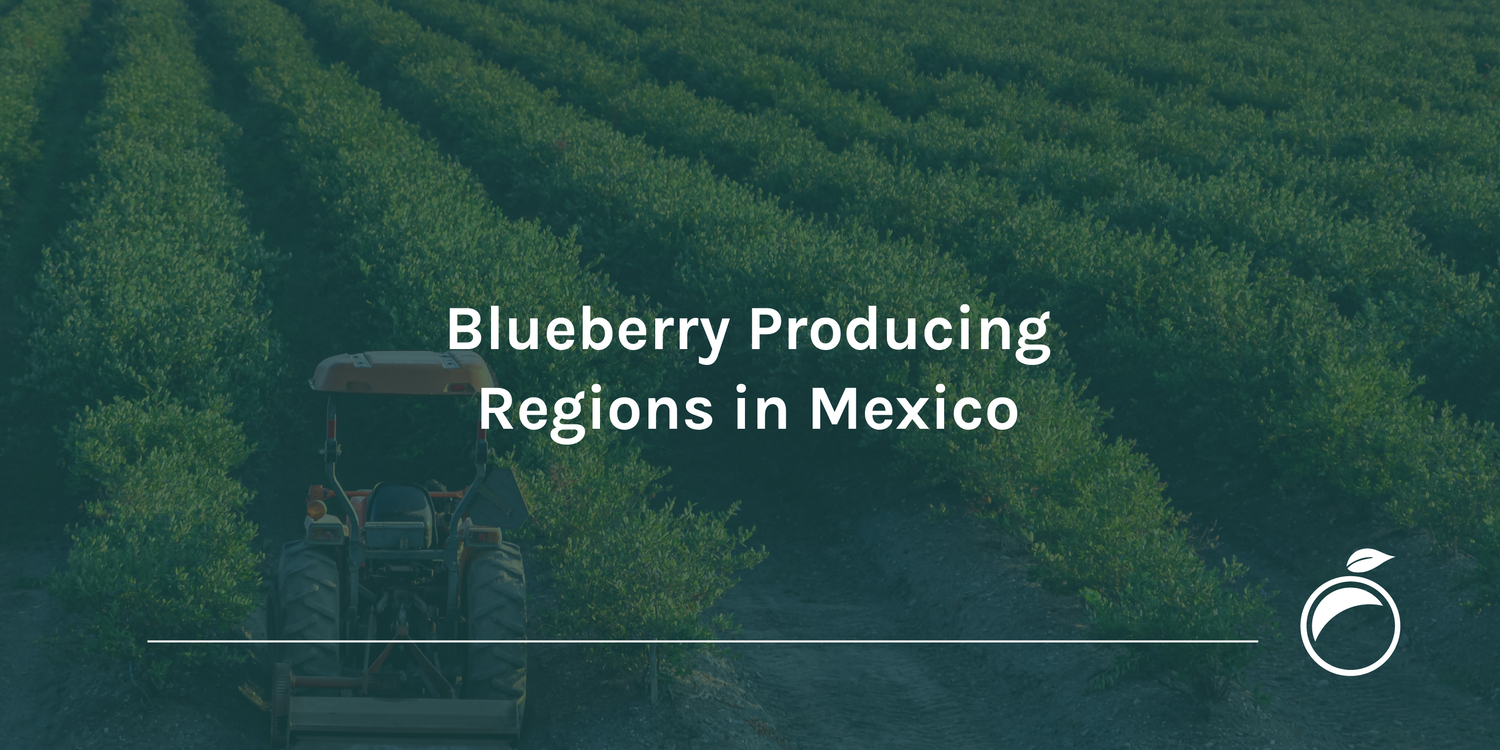 Blueberry Producing Regions in Mexico