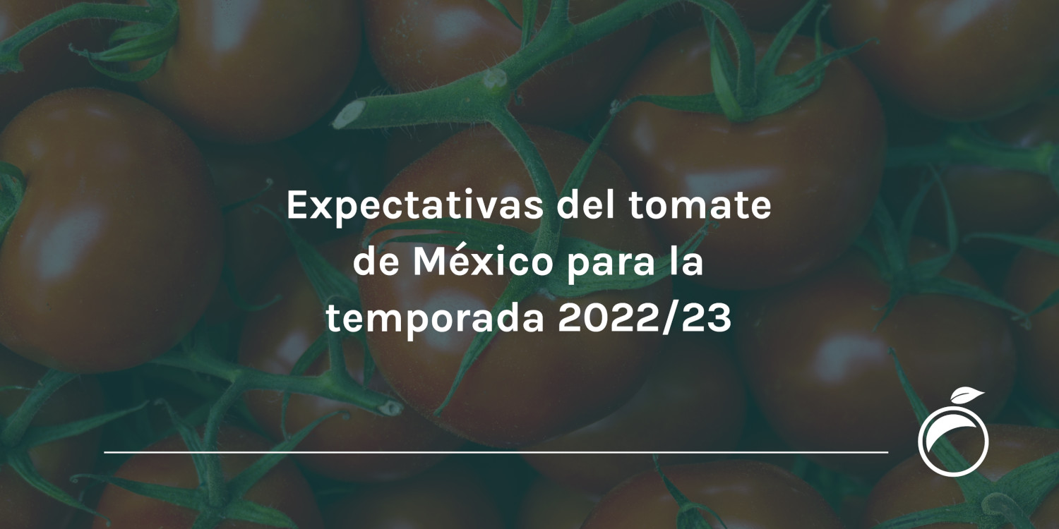 Expectativas del tomate de México para la temporada 2022-23.