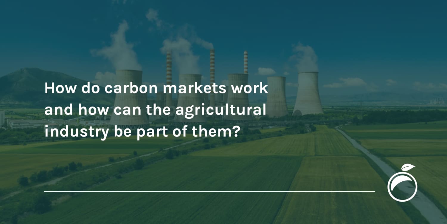 How do carbon markets work and how can the agricultural industry be part of them?