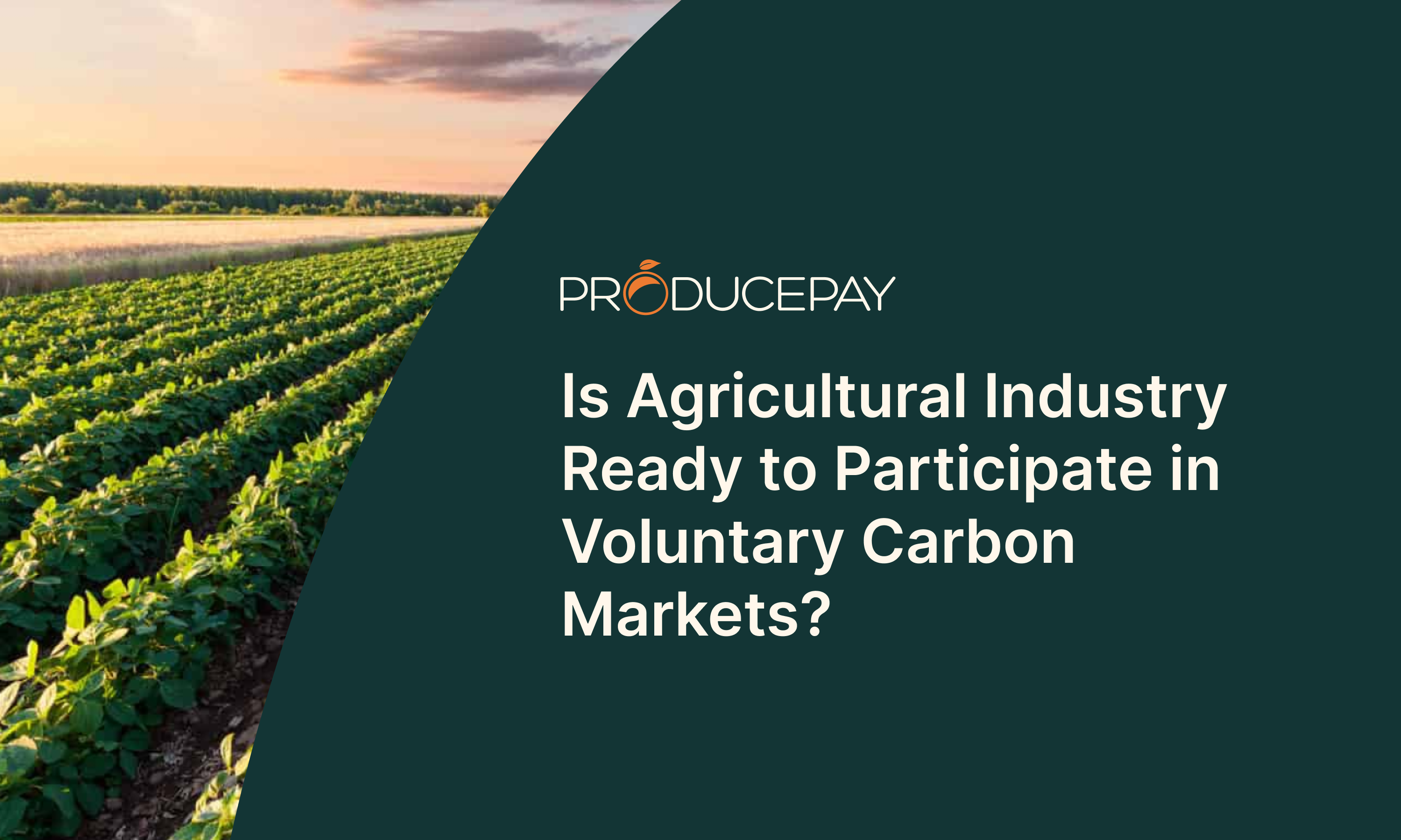 Is Agricultural Industry Ready to Participate in Voluntary Carbon Markets