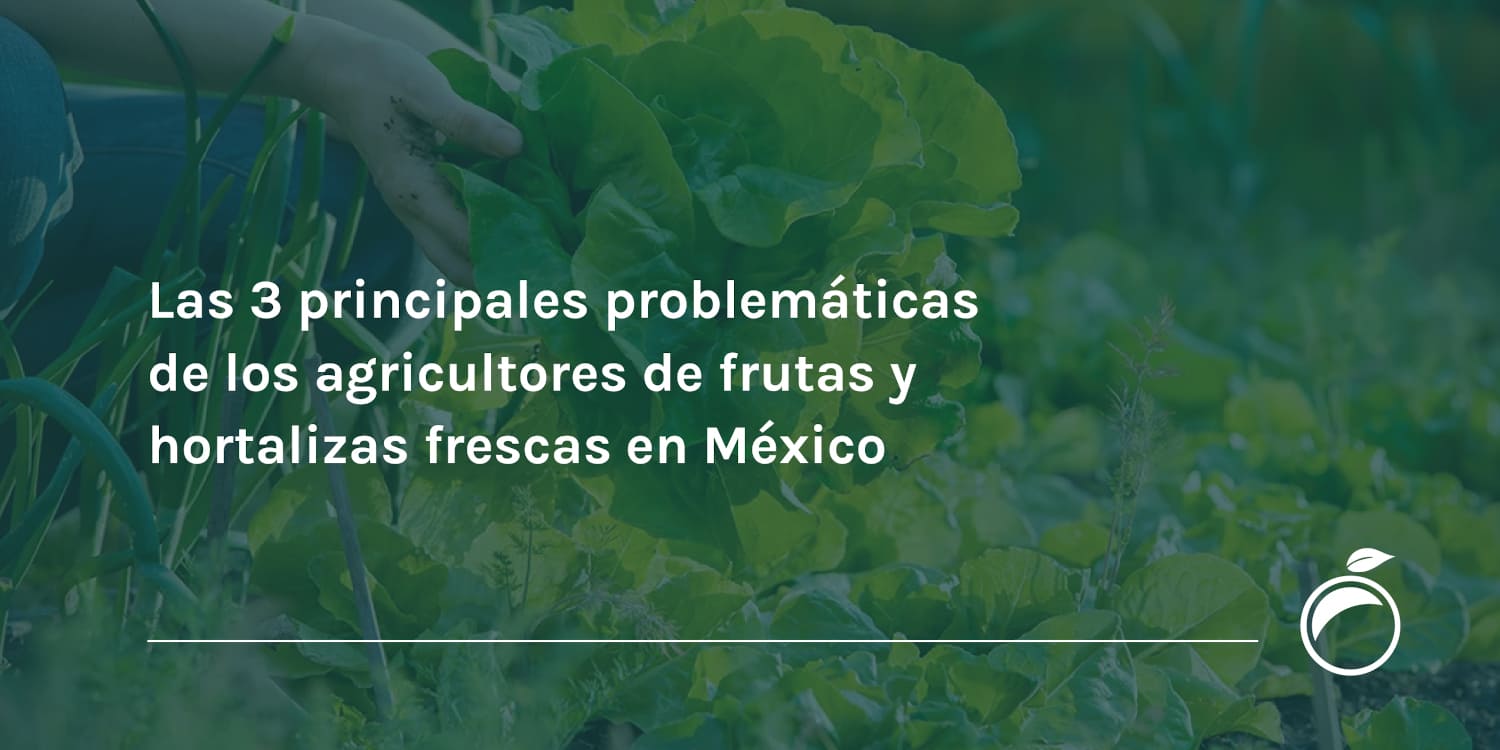 Las 3 principales problemáticas de los agricultores de frutas y hortalizas frescas en México