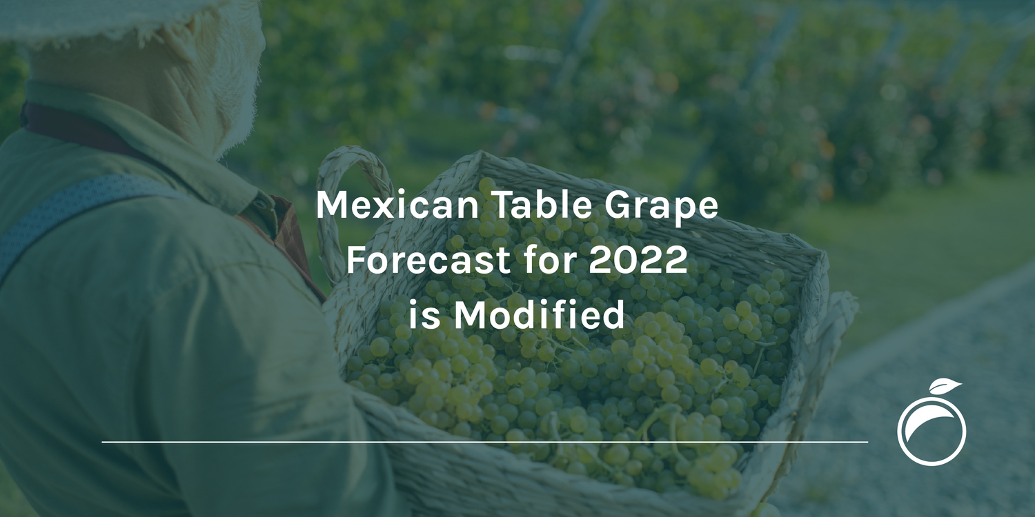 Mexican Table Grape Forecast for 2022 is Modified
