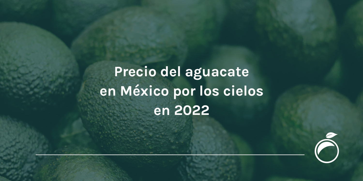 Precio del aguacate en México por los cielos en 2022