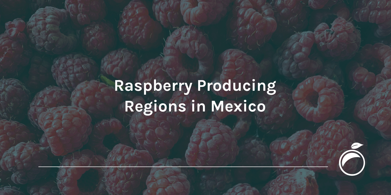 Raspberry Producing Regions in Mexico