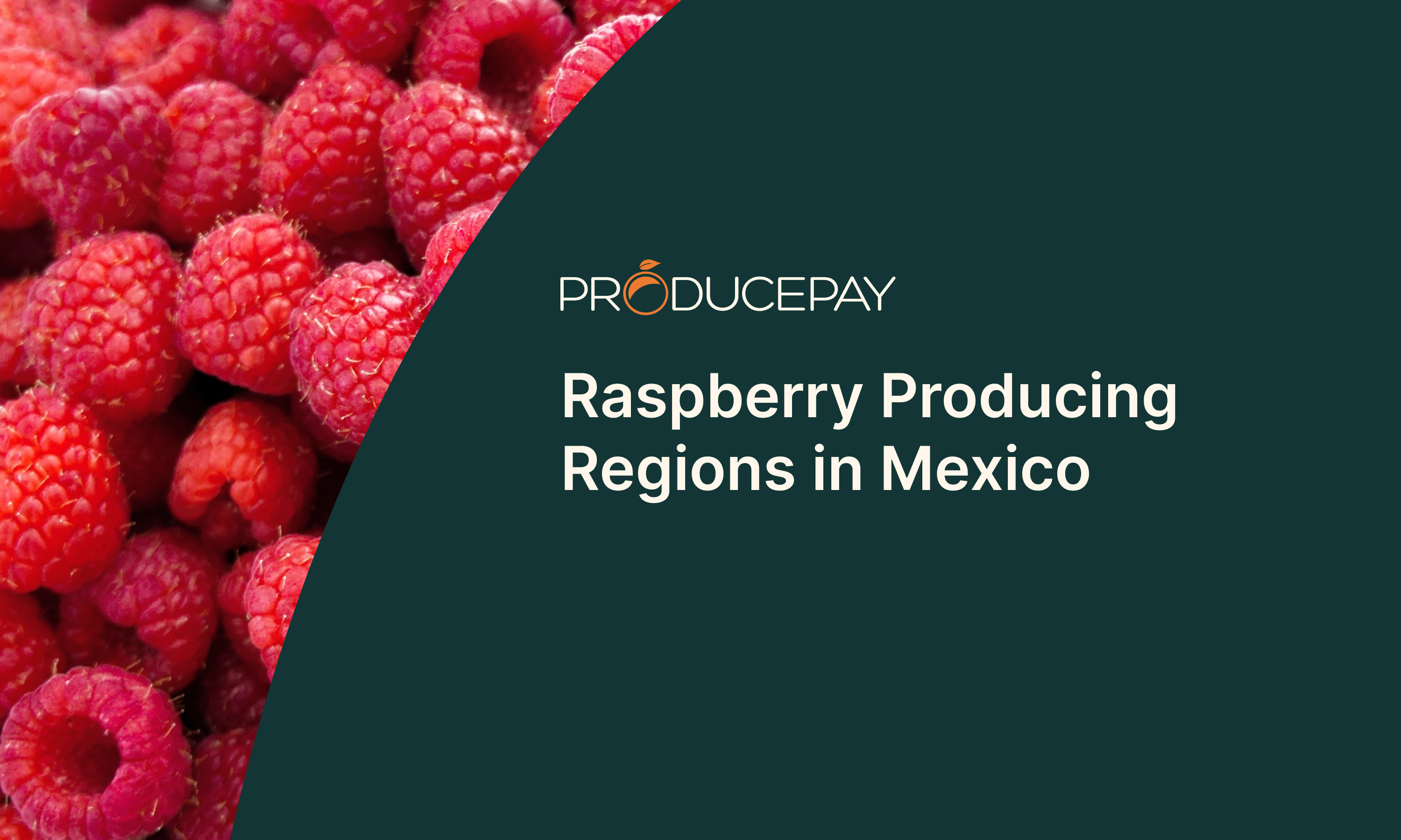 Raspberry Producing Regions in Mexico