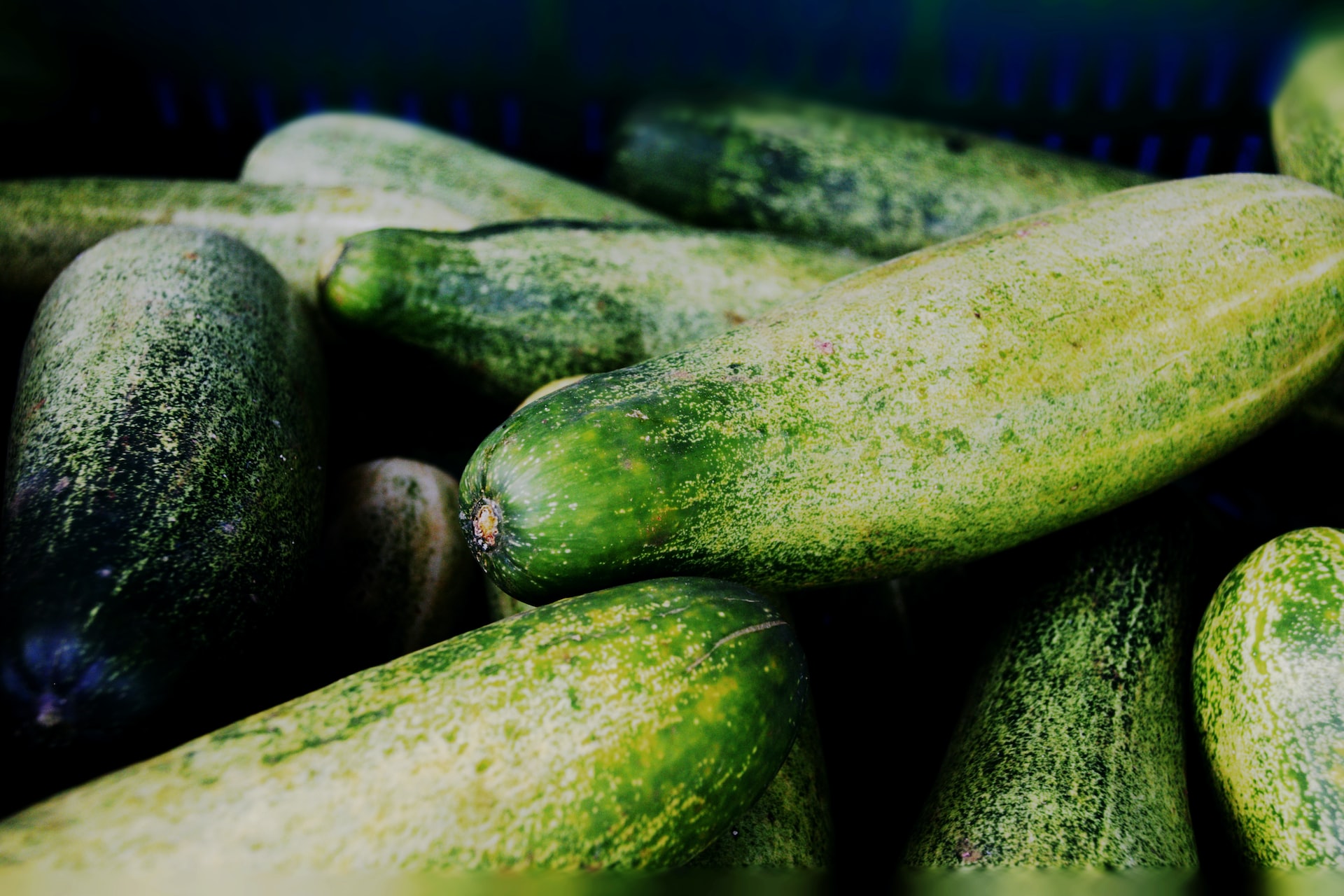 world cucumber production