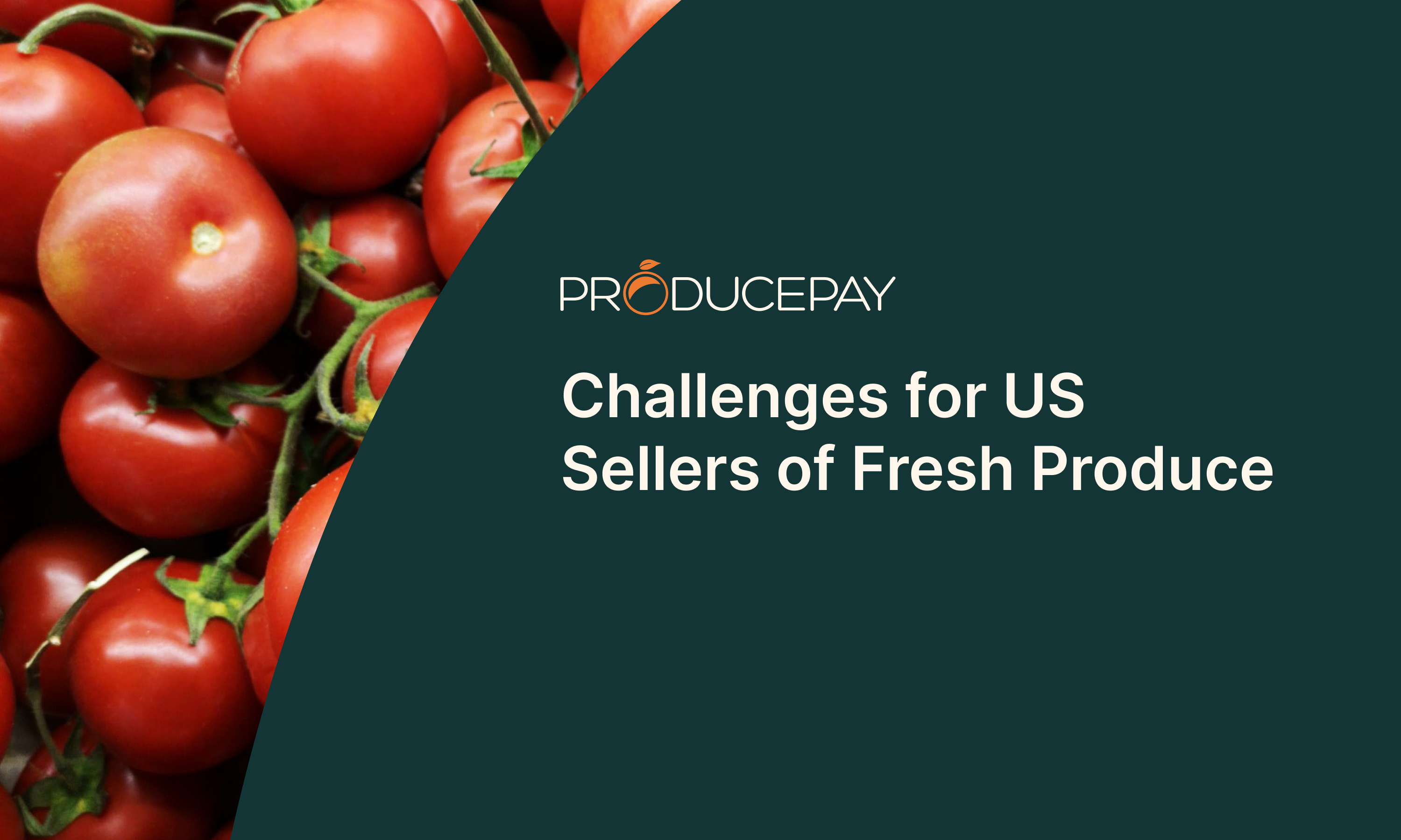 Challenges for US Sellers of fresh produce