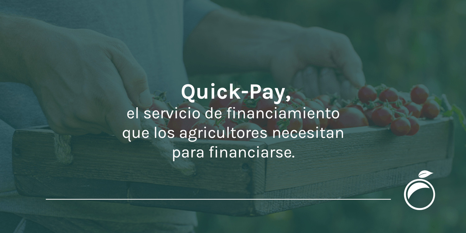 Quick-Pay, el servicio de financiamiento que los agricultores necesitan para financiarse