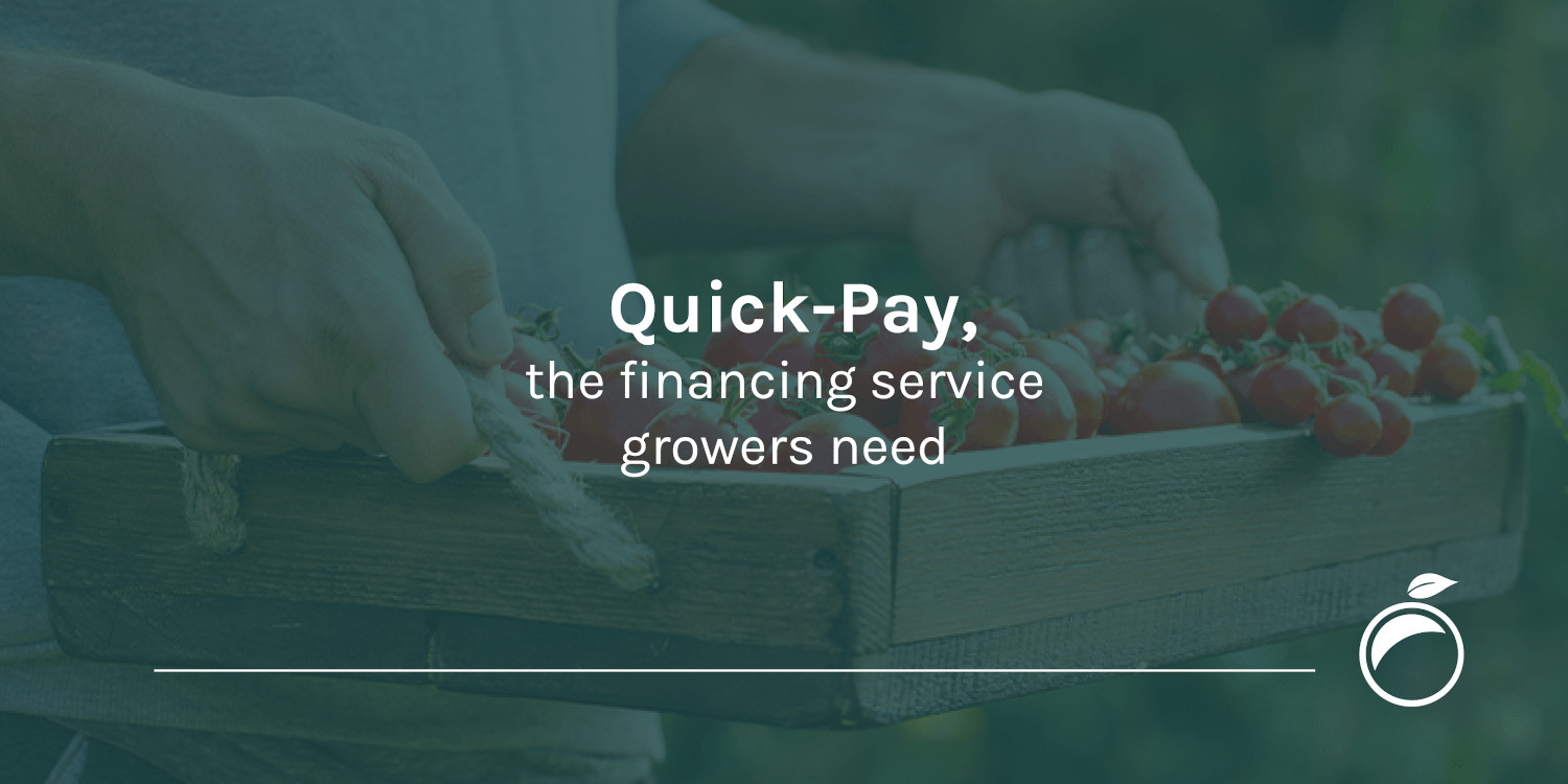 Quick-Pay, the financing service growers need