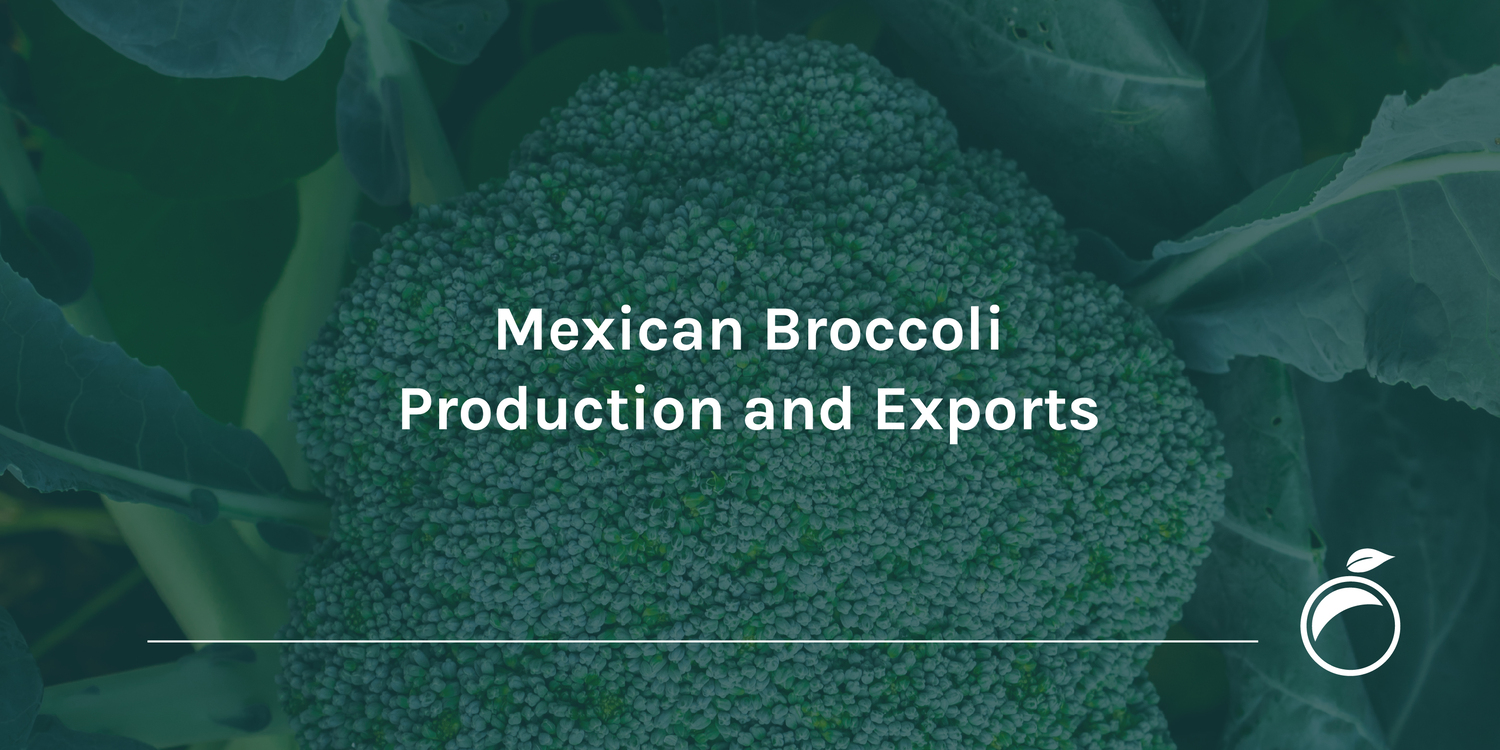 Mexican Broccoli Production and Exports
