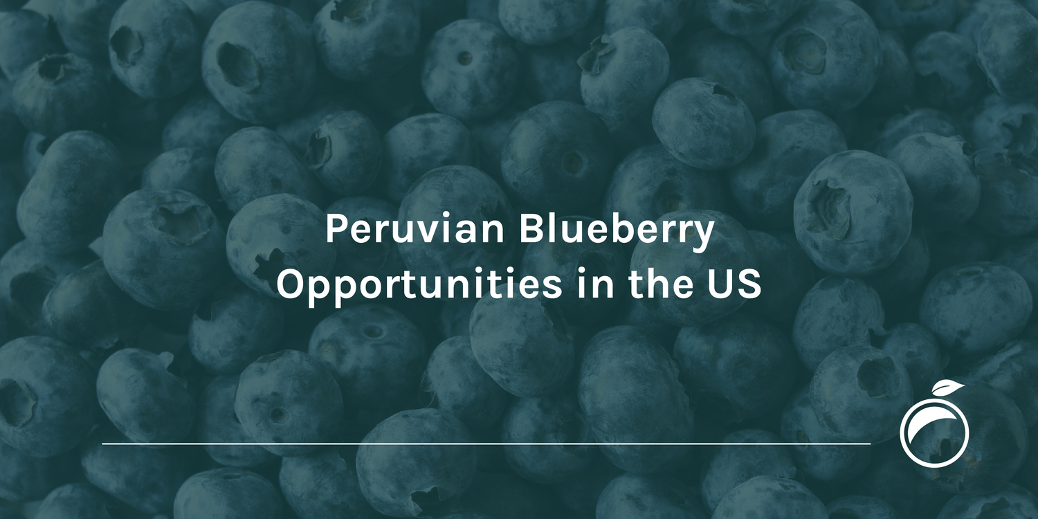 Peruvian Blueberry Opportunities in the US