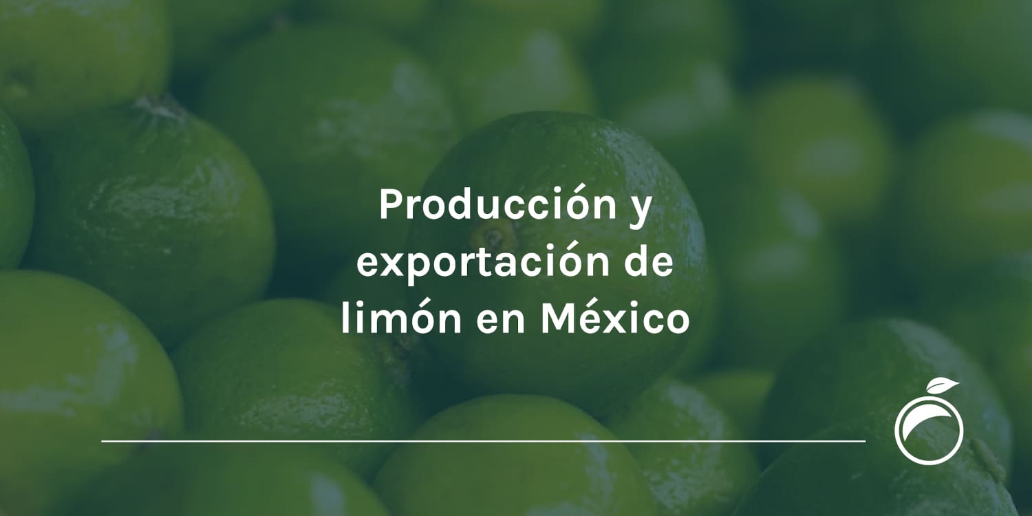 Producción y exportación de limón en México