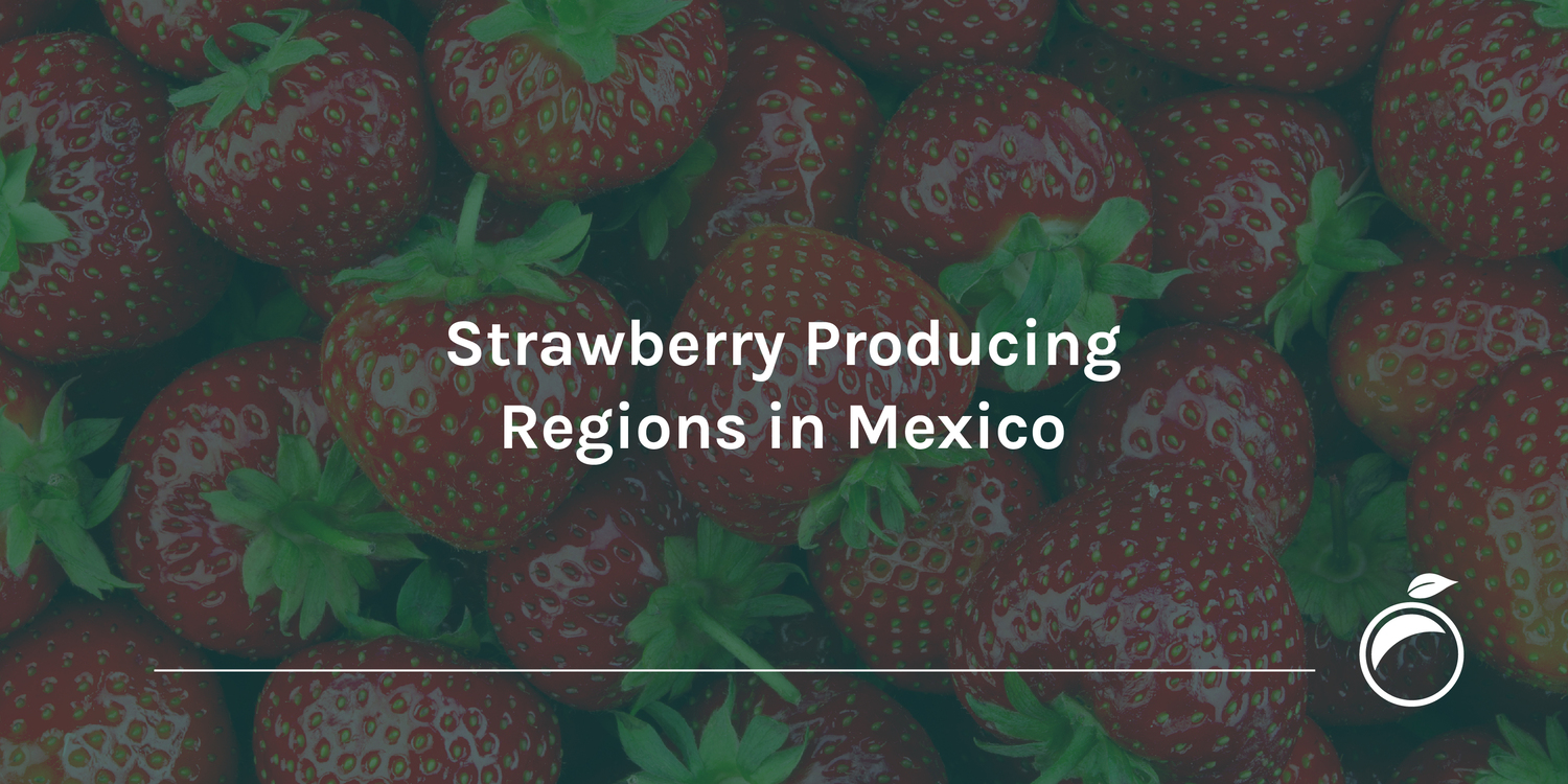 Strawberry Producing Regions in Mexico