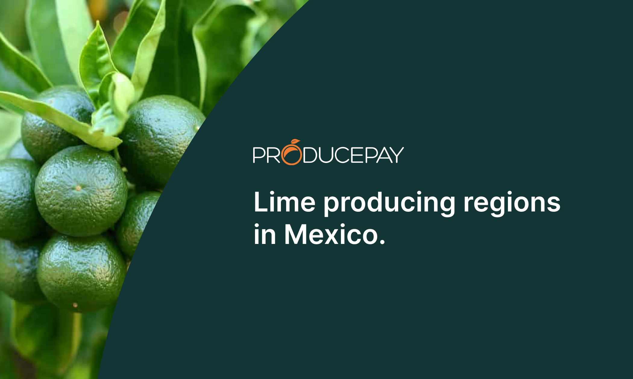 lime-producing-regions