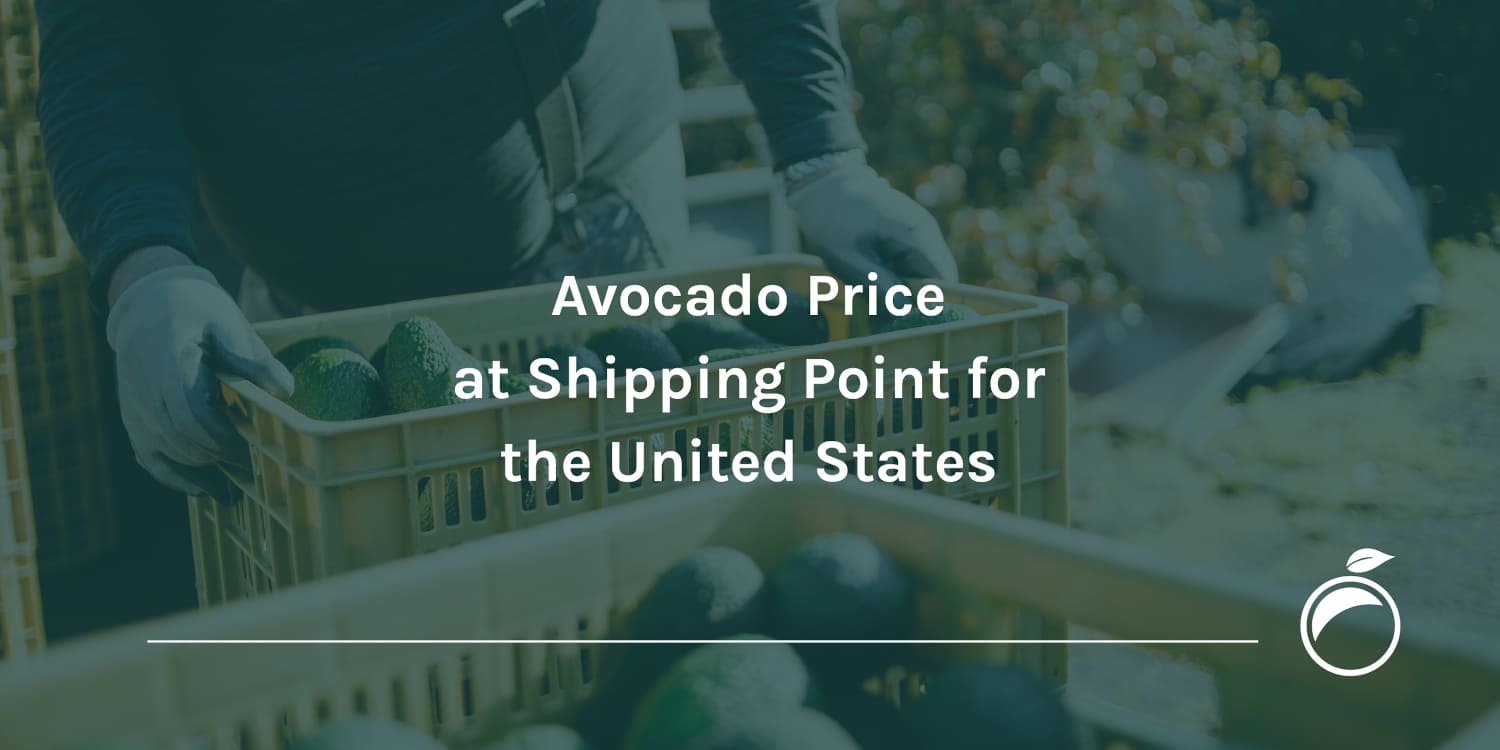 Avocado Price at Shipping Point for the United States