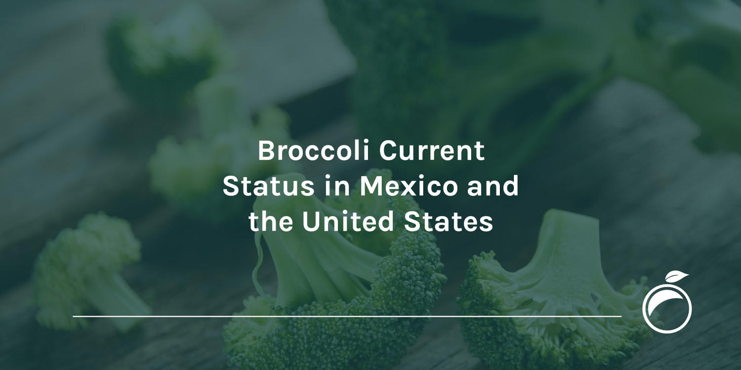 Broccoli Current Status in Mexico and the United States