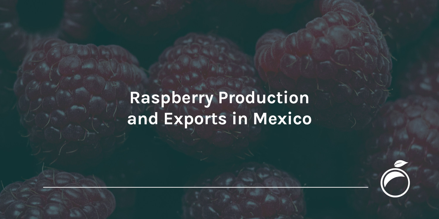 Raspberry Production and Exports in Mexico