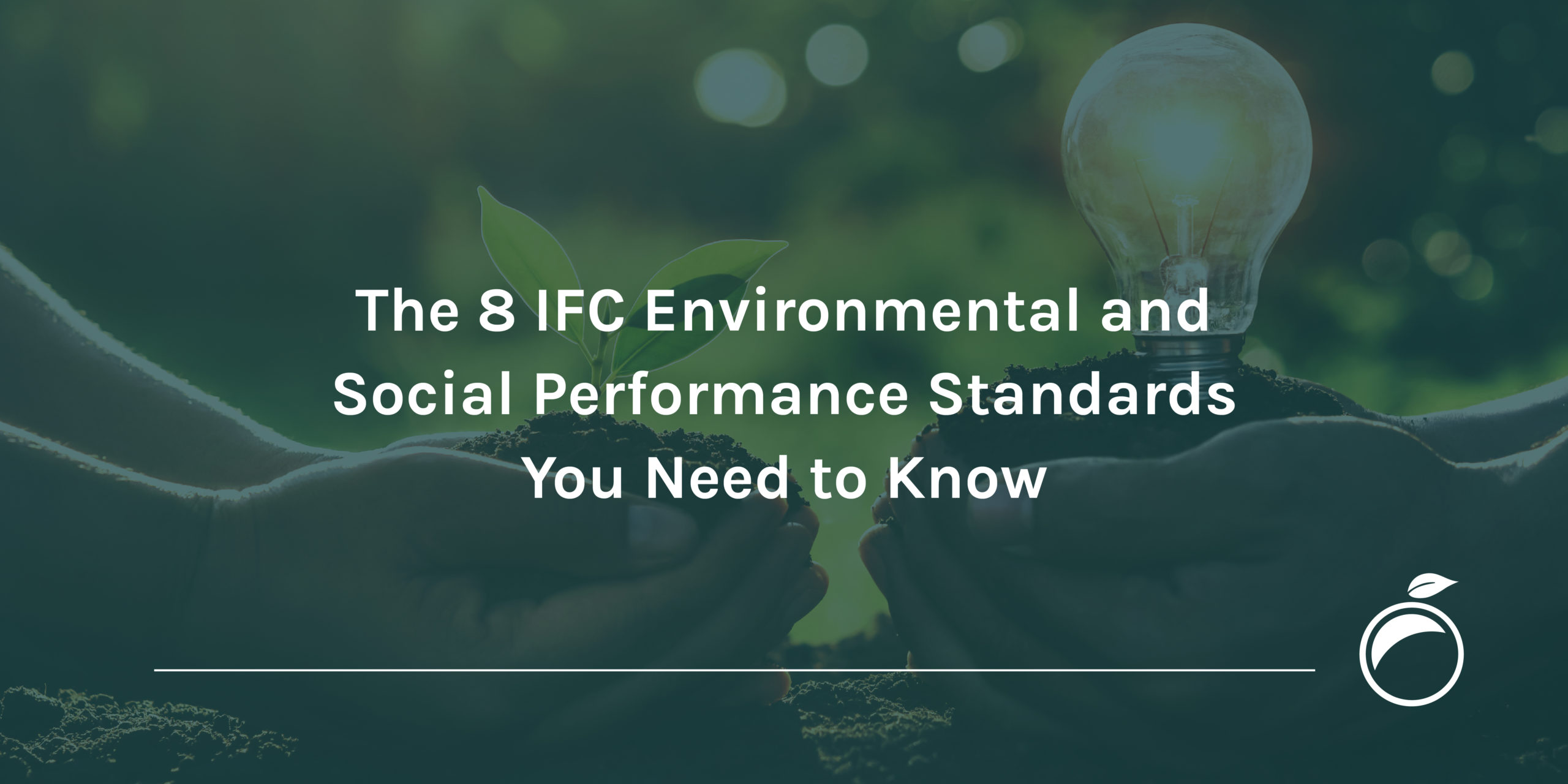 ifc performance standards