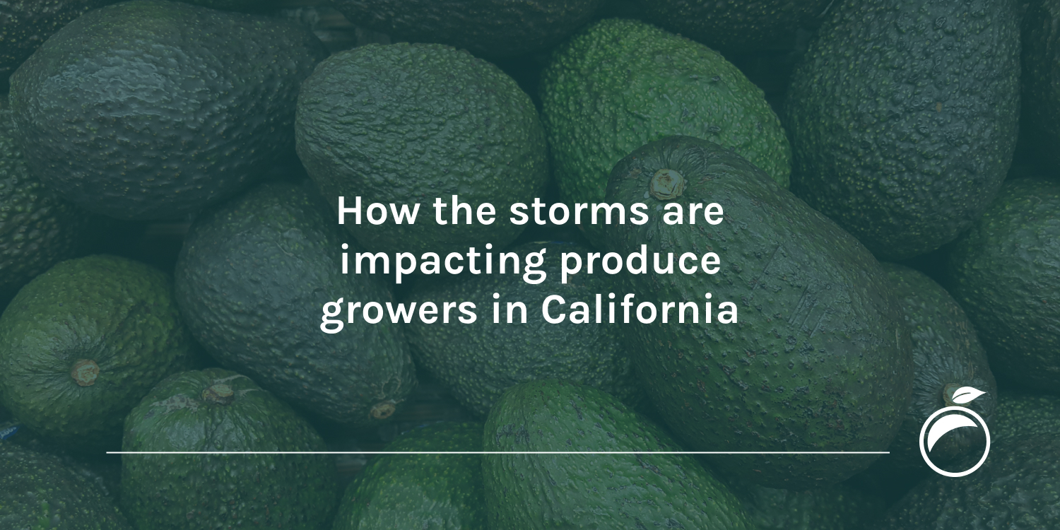 How the storms are impacting produce growers in California