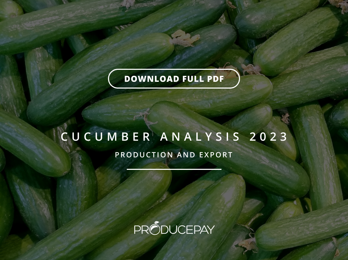 cucumber analysis 2023_th