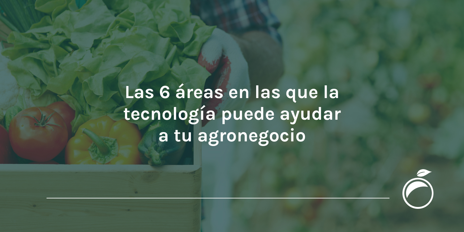 Las 6 áreas en las que la tecnología puede ayudar a tu agronegocio