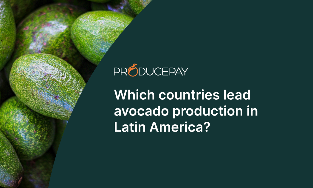 countries-leads-avocado-production