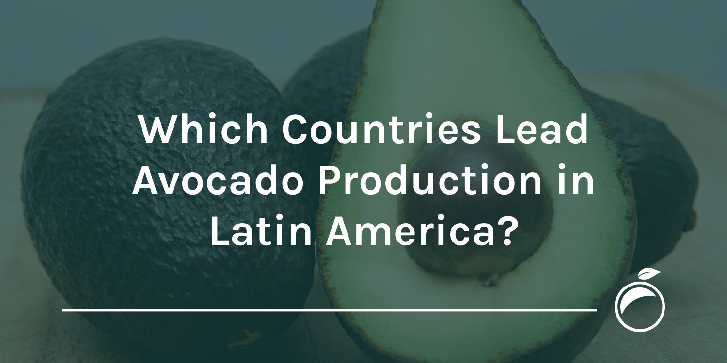 production in Latin America