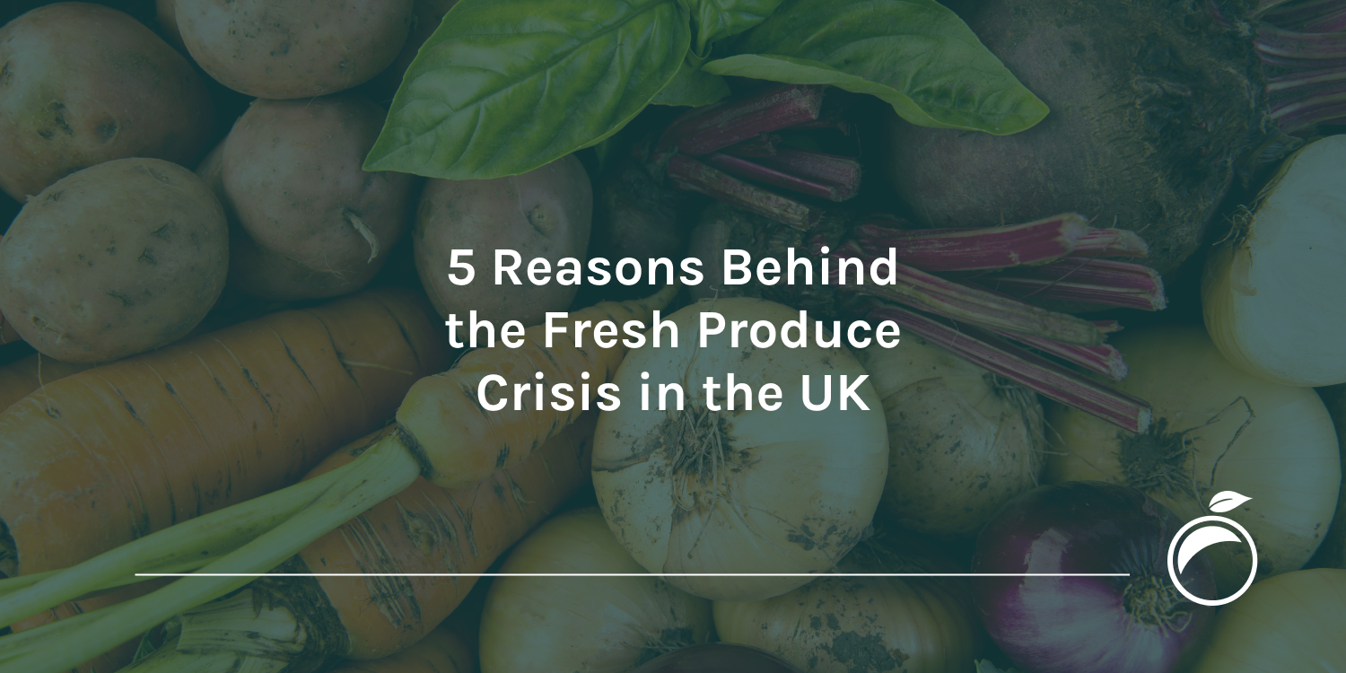 5-Reasons-Behind-the-Fresh-Produce-Crisis-in-the-UK_Header
