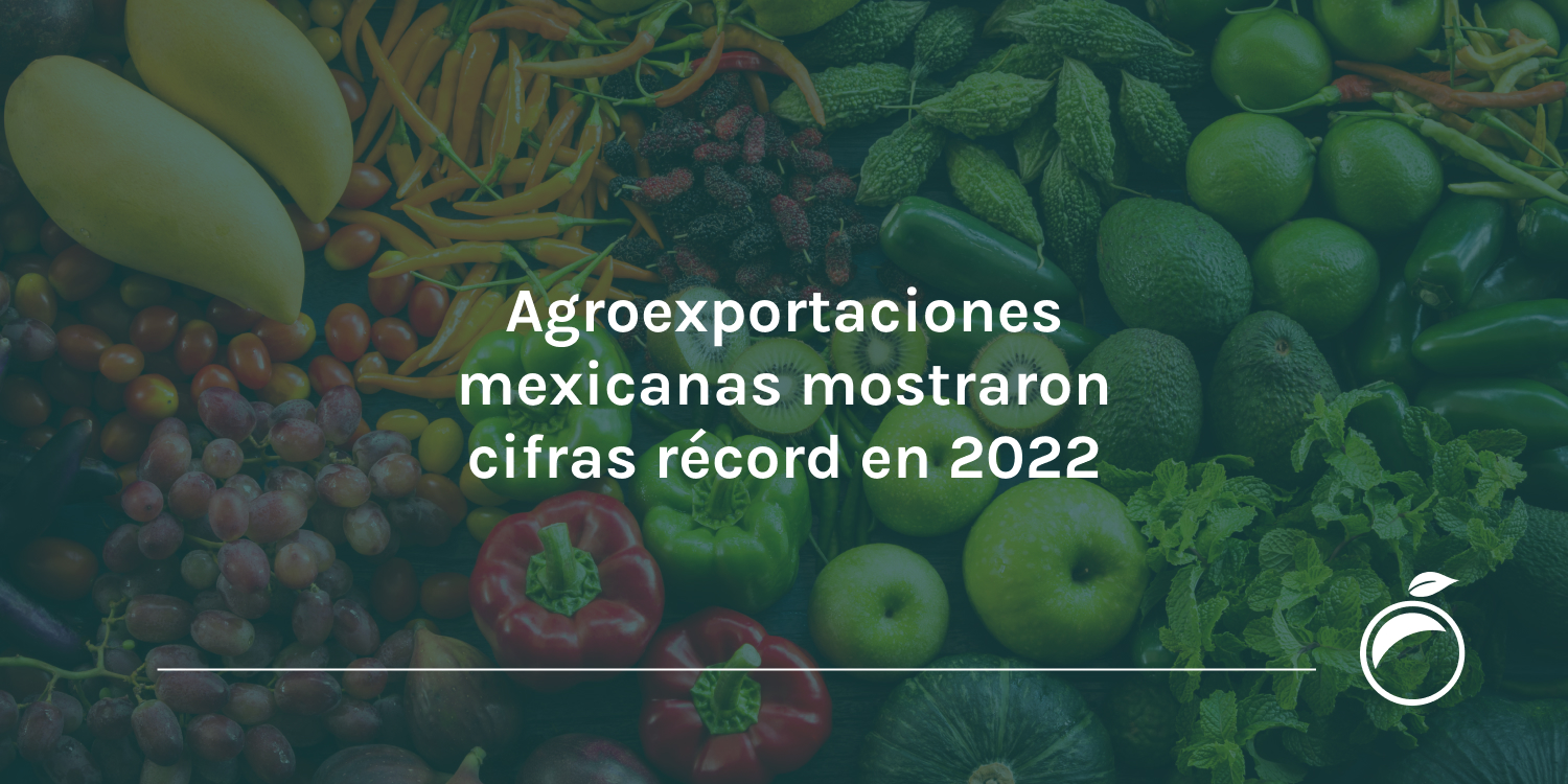 Agroexportaciones mexicanas mostraron cifras récord en 2022