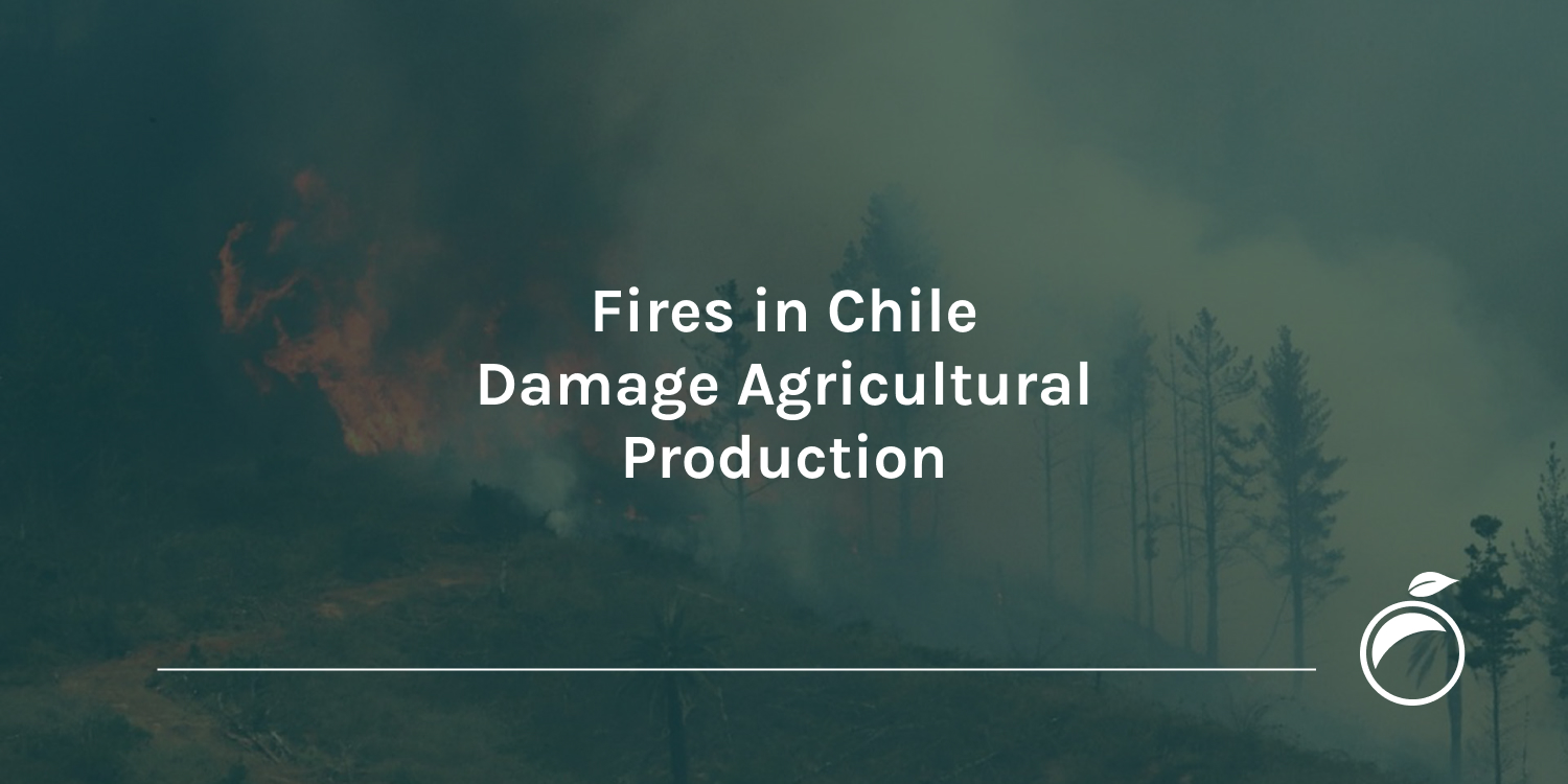 Fires-in-Chile-Damage-Agricultural-Production_Header