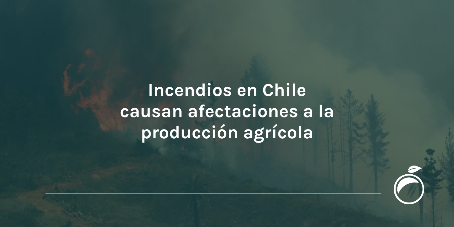 Incendios en Chile causan afectaciones a la producción agrícola