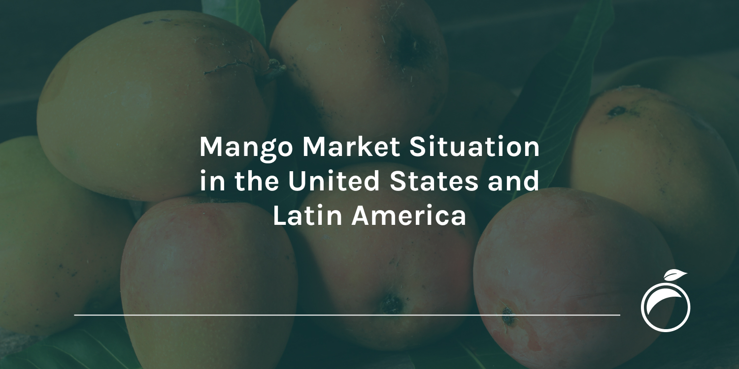Mango Market Situation in the United States and Latin America