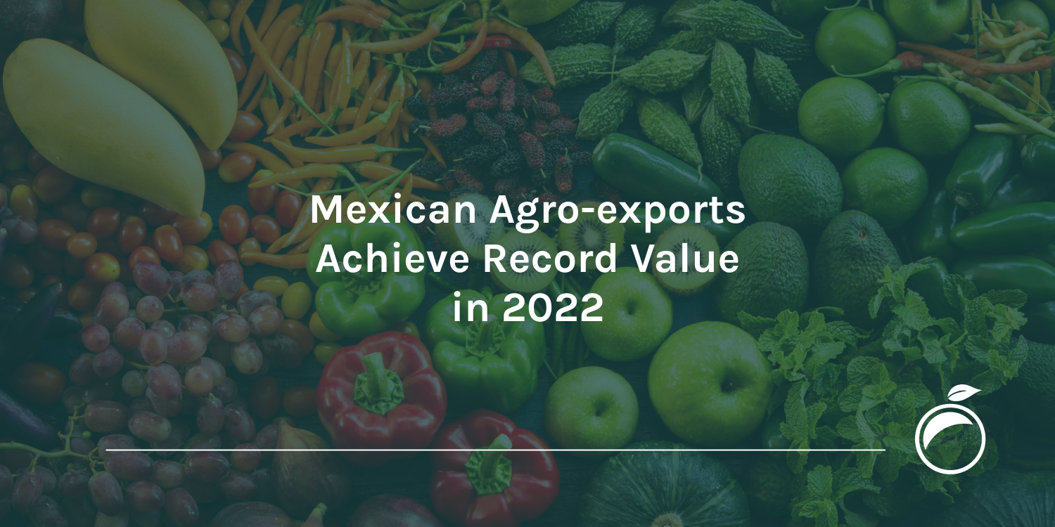 Mexican Agro-exports Achieve Record Value in 2022