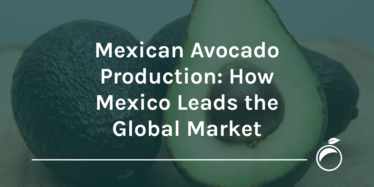Mexican avocado production