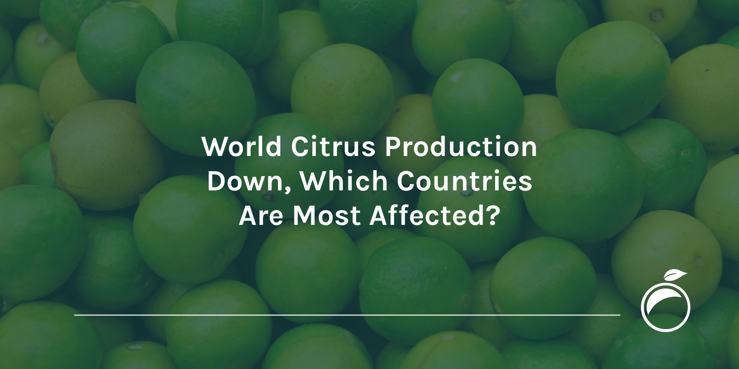 World-Citrus-Production-Down-Which-Countries-Are-Most-Affected_Header