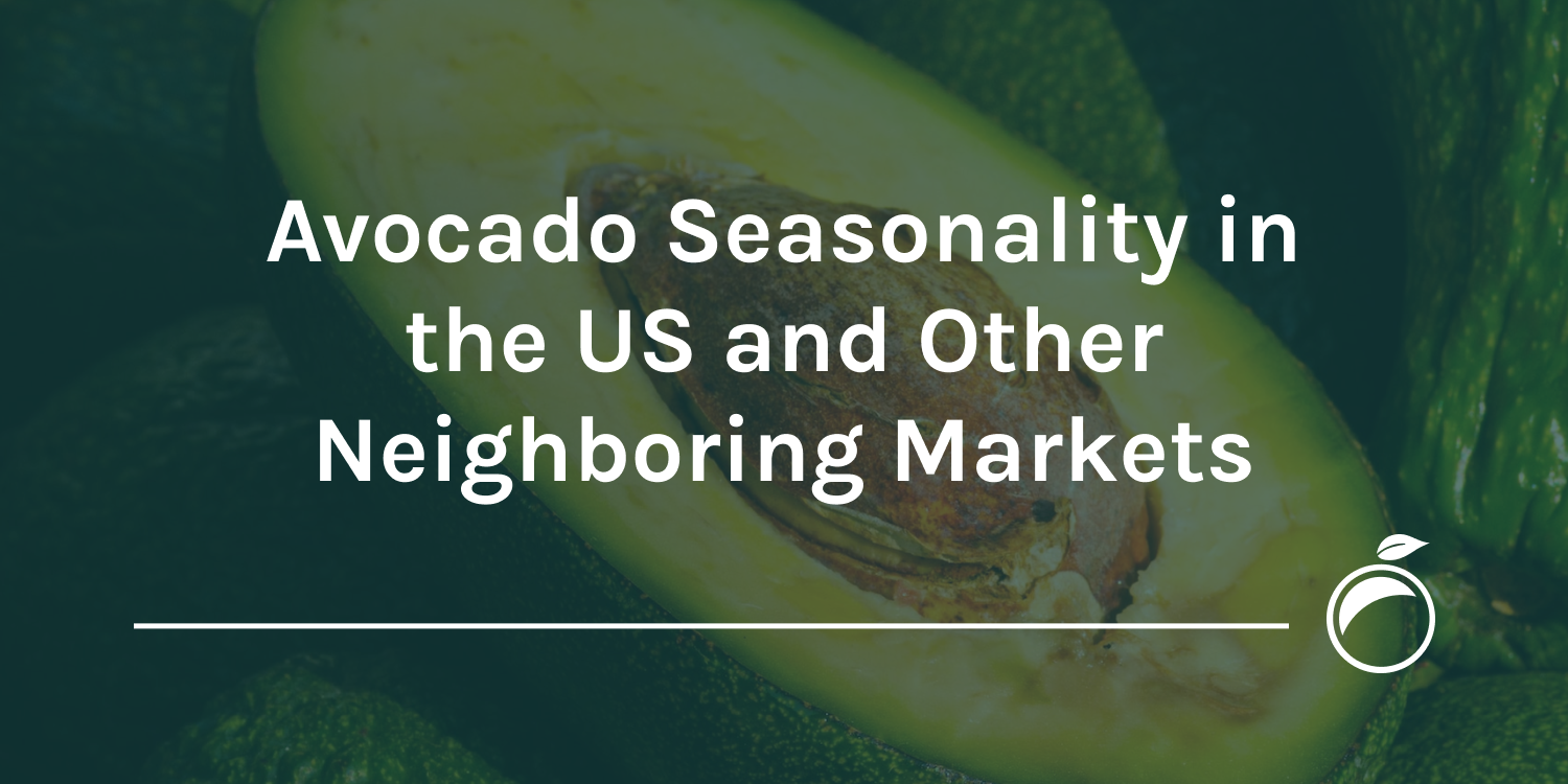 avocado seasonality